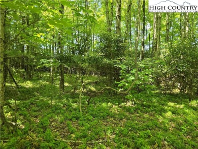 Discover the scenic mountain beauty with this .985-acre lot in on Mountain Aire Golf Course in North Carolina - for sale on GolfHomes.com, golf home, golf lot