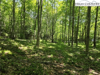 Discover the scenic mountain beauty with this .985-acre lot in on Mountain Aire Golf Course in North Carolina - for sale on GolfHomes.com, golf home, golf lot