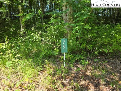 Discover the scenic mountain beauty with this .985-acre lot in on Mountain Aire Golf Course in North Carolina - for sale on GolfHomes.com, golf home, golf lot