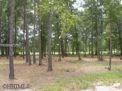 Seize the opportunity to build your custom home on this stunning on Eagles Pointe Golf Club in South Carolina - for sale on GolfHomes.com, golf home, golf lot