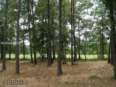 Seize the opportunity to build your custom home on this stunning on Eagles Pointe Golf Club in South Carolina - for sale on GolfHomes.com, golf home, golf lot