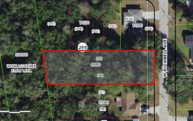 Great building lot in Inverness, Florida. .48 acre. 80x243 on Inverness Golf and Country Club in Florida - for sale on GolfHomes.com, golf home, golf lot