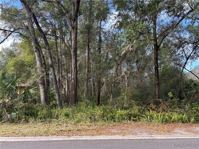 Great building lot in Inverness, Florida. .48 acre. 80x243 on Inverness Golf and Country Club in Florida - for sale on GolfHomes.com, golf home, golf lot