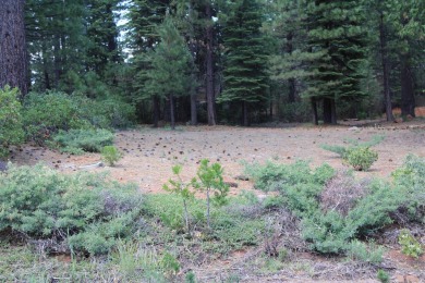 Let the adventures begin! This lovely, mostly level lot in on Bailey Creek Golf Course in California - for sale on GolfHomes.com, golf home, golf lot