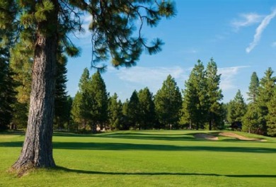 Let the adventures begin! This lovely, mostly level lot in on Bailey Creek Golf Course in California - for sale on GolfHomes.com, golf home, golf lot