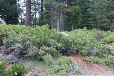 Let the adventures begin! This lovely, mostly level lot in on Bailey Creek Golf Course in California - for sale on GolfHomes.com, golf home, golf lot