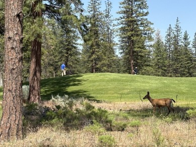 This is a fantastic opportunity to own a parcel on the golf on  in California - for sale on GolfHomes.com, golf home, golf lot