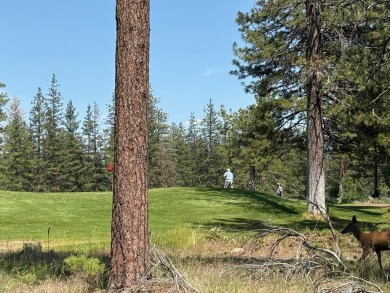 This is a fantastic opportunity to own a parcel on the golf on  in California - for sale on GolfHomes.com, golf home, golf lot