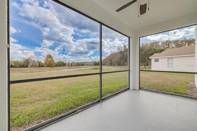 Spacious Living with Lake and Conservation Views
Located in the on Stoneybrook Golf Club At Heritage Harbour in Florida - for sale on GolfHomes.com, golf home, golf lot