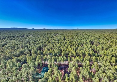 Beautiful, well treed, level lot in the heart of Pinetop Country on Pinetop Lakes Country Club in Arizona - for sale on GolfHomes.com, golf home, golf lot