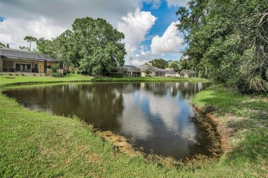 Look forward to coming home! Live on a quiet street in Eastlake on East Lake Woodlands Country Club in Florida - for sale on GolfHomes.com, golf home, golf lot