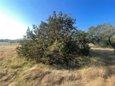 Great lot for your future home! This beautiful lot features on White Bluff Resort - Old Course in Texas - for sale on GolfHomes.com, golf home, golf lot