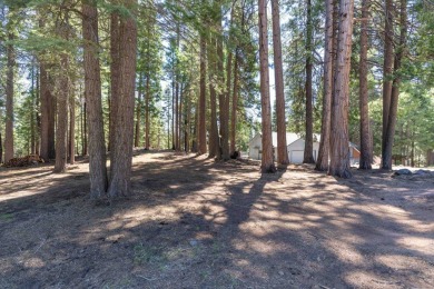 Lake Almanor Country Club Parcel - Build Your Dream Mountain on Lake Almanor Country Club in California - for sale on GolfHomes.com, golf home, golf lot