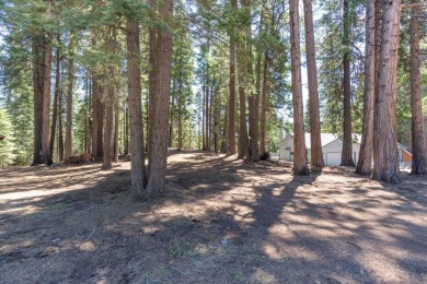 Lake Almanor Country Club Parcel - Build Your Dream Mountain on Lake Almanor Country Club in California - for sale on GolfHomes.com, golf home, golf lot