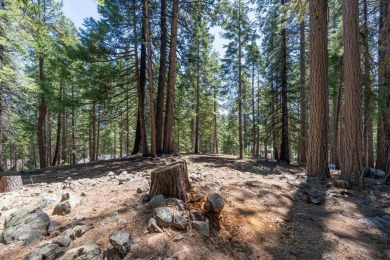 Lake Almanor Country Club Parcel - Build Your Dream Mountain on Lake Almanor Country Club in California - for sale on GolfHomes.com, golf home, golf lot