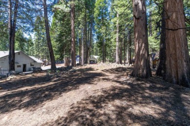 Lake Almanor Country Club Parcel - Build Your Dream Mountain on Lake Almanor Country Club in California - for sale on GolfHomes.com, golf home, golf lot