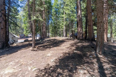 Lake Almanor Country Club Parcel - Build Your Dream Mountain on Lake Almanor Country Club in California - for sale on GolfHomes.com, golf home, golf lot