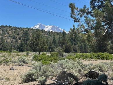 This is a rare find in Lake Shastina, a substantially larger on Lake Shastina Golf Course in California - for sale on GolfHomes.com, golf home, golf lot