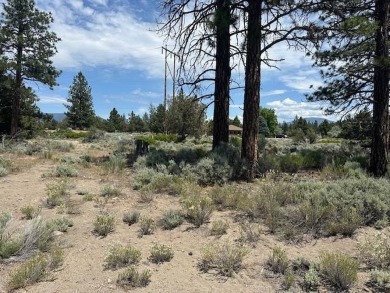 This is a rare find in Lake Shastina, a substantially larger on Lake Shastina Golf Course in California - for sale on GolfHomes.com, golf home, golf lot
