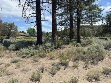 This is a rare find in Lake Shastina, a substantially larger on Lake Shastina Golf Course in California - for sale on GolfHomes.com, golf home, golf lot