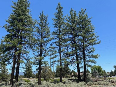 This is a rare find in Lake Shastina, a substantially larger on Lake Shastina Golf Course in California - for sale on GolfHomes.com, golf home, golf lot