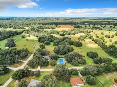 Welcome to your dream home in the Black Bear Estates golf on Black Bear Golf Club in Florida - for sale on GolfHomes.com, golf home, golf lot