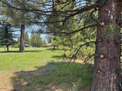 Ideally located on the second fairway of Bailey Creek to capture on Bailey Creek Golf Course in California - for sale on GolfHomes.com, golf home, golf lot