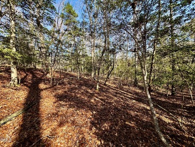 Quiet Cul-de-Sac Lot in Gated Carolina Trace. This Beautiful on Carolina Trace Country Club in North Carolina - for sale on GolfHomes.com, golf home, golf lot