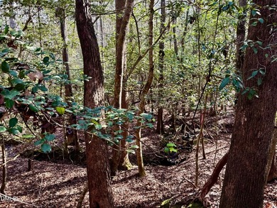 Quiet Cul-de-Sac Lot in Gated Carolina Trace. This Beautiful on Carolina Trace Country Club in North Carolina - for sale on GolfHomes.com, golf home, golf lot