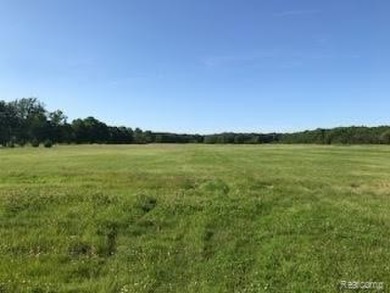 BUILD YOUR BEAUTIFUL DREAM HOME ON A PERFECTLY LOCATED 1.36 ACRE on Leaning Tree Golf Club in Michigan - for sale on GolfHomes.com, golf home, golf lot
