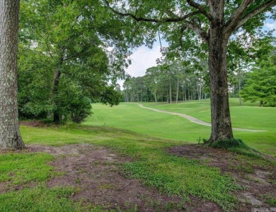 Mid-Century Modern Gem on DeSoto Golf Course - 4BR/2.5BA in Hot on DeSoto Golf Course in Arkansas - for sale on GolfHomes.com, golf home, golf lot