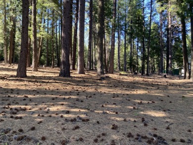 Build your dream cabin behind the gates of Lake Almanor Country on Lake Almanor Country Club in California - for sale on GolfHomes.com, golf home, golf lot