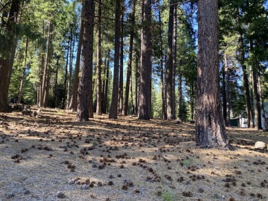 Build your dream cabin behind the gates of Lake Almanor Country on Lake Almanor Country Club in California - for sale on GolfHomes.com, golf home, golf lot