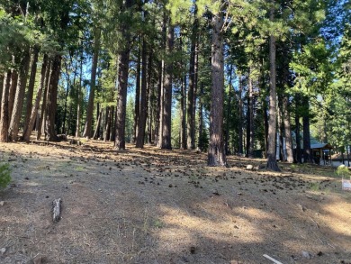 Build your dream cabin behind the gates of Lake Almanor Country on Lake Almanor Country Club in California - for sale on GolfHomes.com, golf home, golf lot
