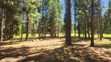 Wonderful Lake Almanor West golf course home, which offers lake on  in California - for sale on GolfHomes.com, golf home, golf lot