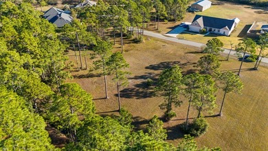 This lot features a buildable portion in the X flood zone on Saint Josephs Bay Country Club in Florida - for sale on GolfHomes.com, golf home, golf lot
