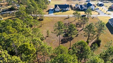 This lot features a buildable portion in the X flood zone on Saint Josephs Bay Country Club in Florida - for sale on GolfHomes.com, golf home, golf lot