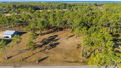 This lot features a buildable portion in the X flood zone on Saint Josephs Bay Country Club in Florida - for sale on GolfHomes.com, golf home, golf lot