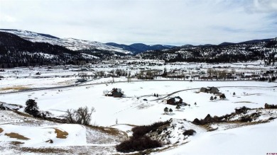 Dee Plucinski, Steffens and Company Realty, Inc, C: , dee,  : on Rio Grande Golf Club in Colorado - for sale on GolfHomes.com, golf home, golf lot