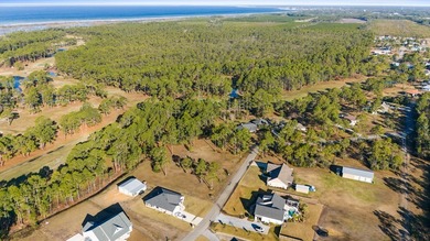 This lot features a buildable portion in the X flood zone on Saint Josephs Bay Country Club in Florida - for sale on GolfHomes.com, golf home, golf lot