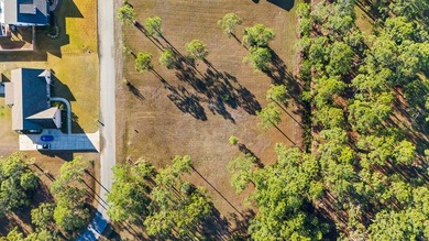 This lot features a buildable portion in the X flood zone on Saint Josephs Bay Country Club in Florida - for sale on GolfHomes.com, golf home, golf lot