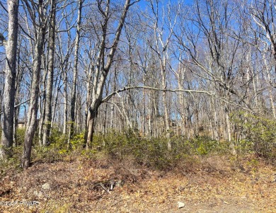 BUY and BUILD your dream home in Hemlock Farms!!! A wooded lot on Lords Valley Country Club, Inc in Pennsylvania - for sale on GolfHomes.com, golf home, golf lot