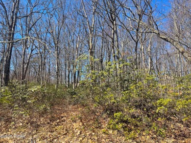 BUY and BUILD your dream home in Hemlock Farms!!! A wooded lot on Lords Valley Country Club, Inc in Pennsylvania - for sale on GolfHomes.com, golf home, golf lot