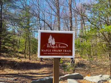 BUY and BUILD your dream home in Hemlock Farms!!! A wooded lot on Lords Valley Country Club, Inc in Pennsylvania - for sale on GolfHomes.com, golf home, golf lot