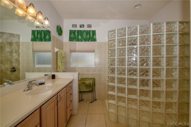 IMMACULATE TERRA VISTA 3 BEDROOM, 2 BATH/2 CAR GARAGE *MAINTANCE on Skyview At Terra Vista Golf and Country Club in Florida - for sale on GolfHomes.com, golf home, golf lot