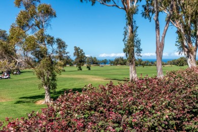 A picture-perfect setting, combining a fantastic golf course on Waikoloa Village Golf Club in Hawaii - for sale on GolfHomes.com, golf home, golf lot