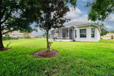 IMMACULATE TERRA VISTA 3 BEDROOM, 2 BATH/2 CAR GARAGE *MAINTANCE on Skyview At Terra Vista Golf and Country Club in Florida - for sale on GolfHomes.com, golf home, golf lot