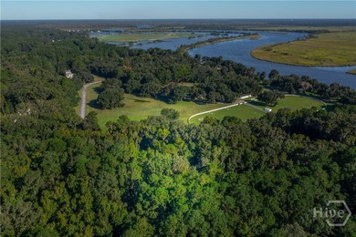 Build your dream home beneath a canopy of centuries-old live on The Ford Field and River Club  in Georgia - for sale on GolfHomes.com, golf home, golf lot