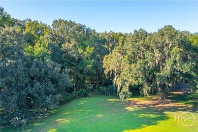 Build your dream home beneath a canopy of centuries-old live on The Ford Field and River Club  in Georgia - for sale on GolfHomes.com, golf home, golf lot
