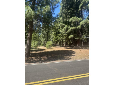 Live in your dream home less an a mile from the Golf Course, Rec on Lake Almanor Country Club in California - for sale on GolfHomes.com, golf home, golf lot